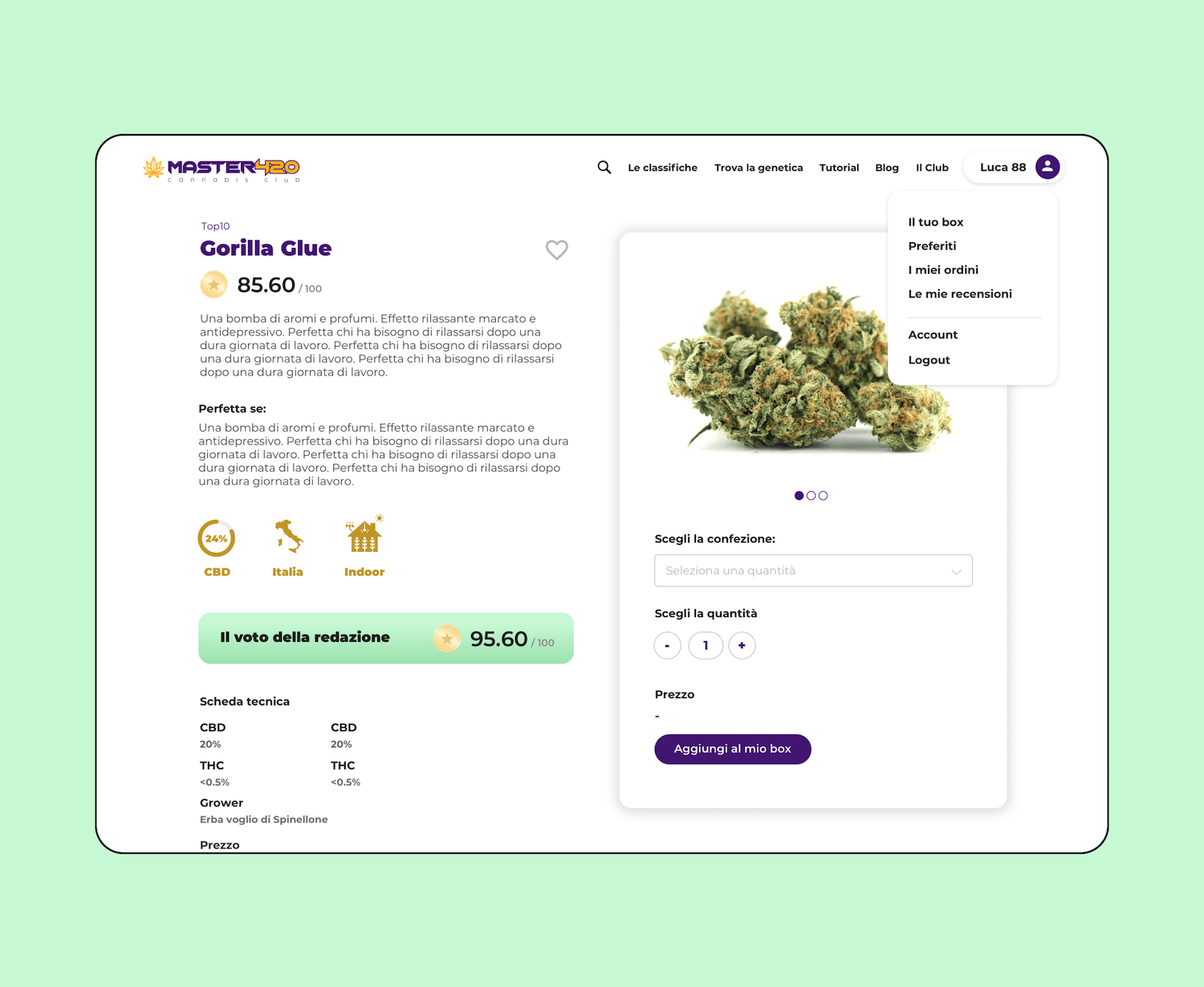 Mockup progetto Master420: pagina di prodotto