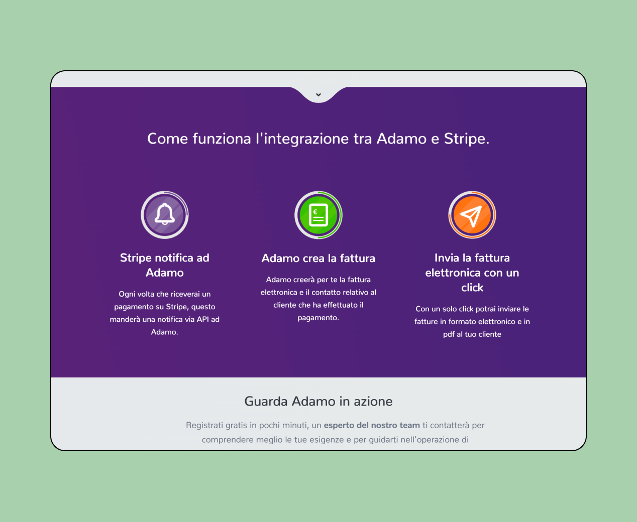 Adamo Gestionale schermata integrazione con stripe