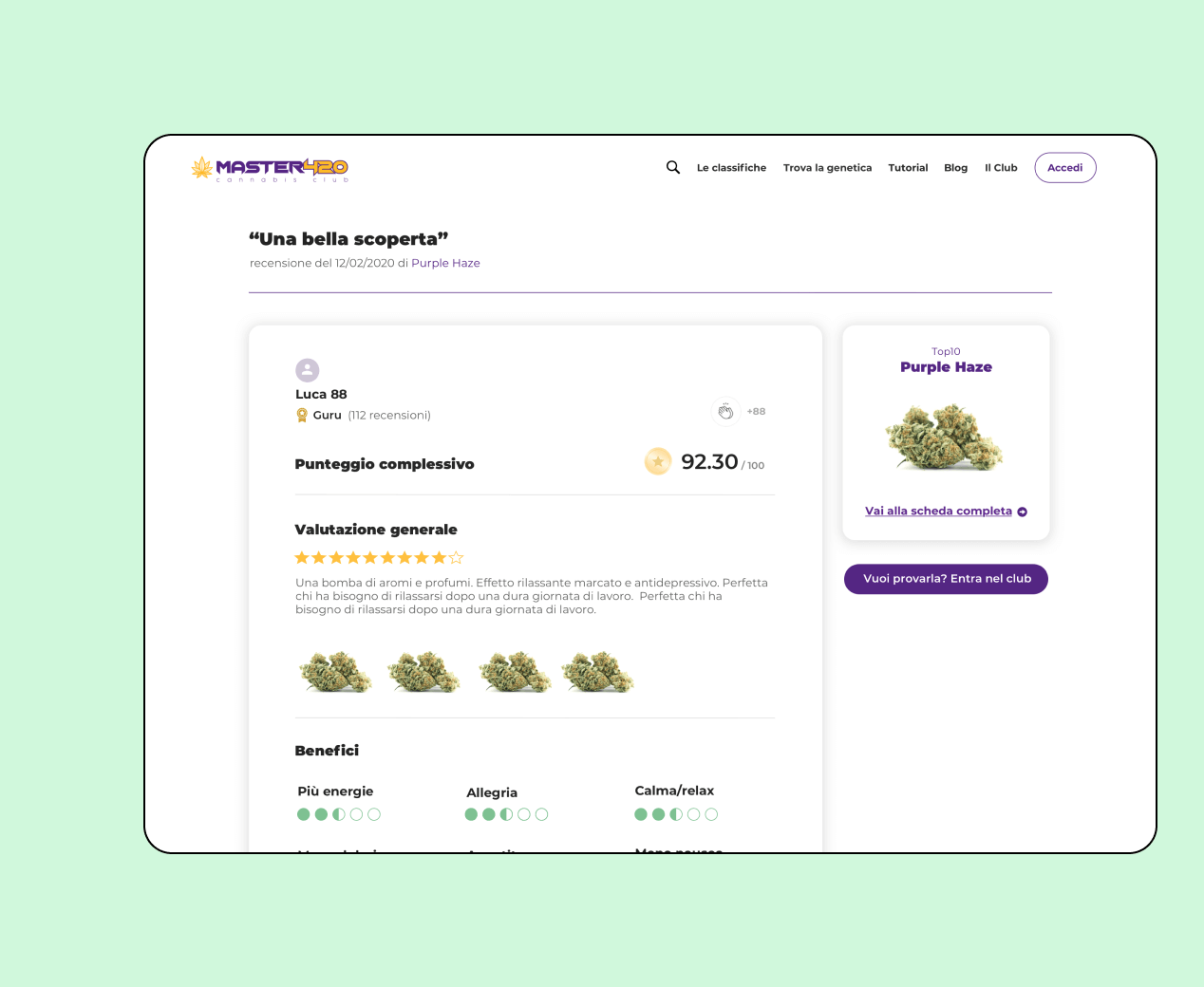 Mockup progetto Master420: Valutazioni in versione desktop