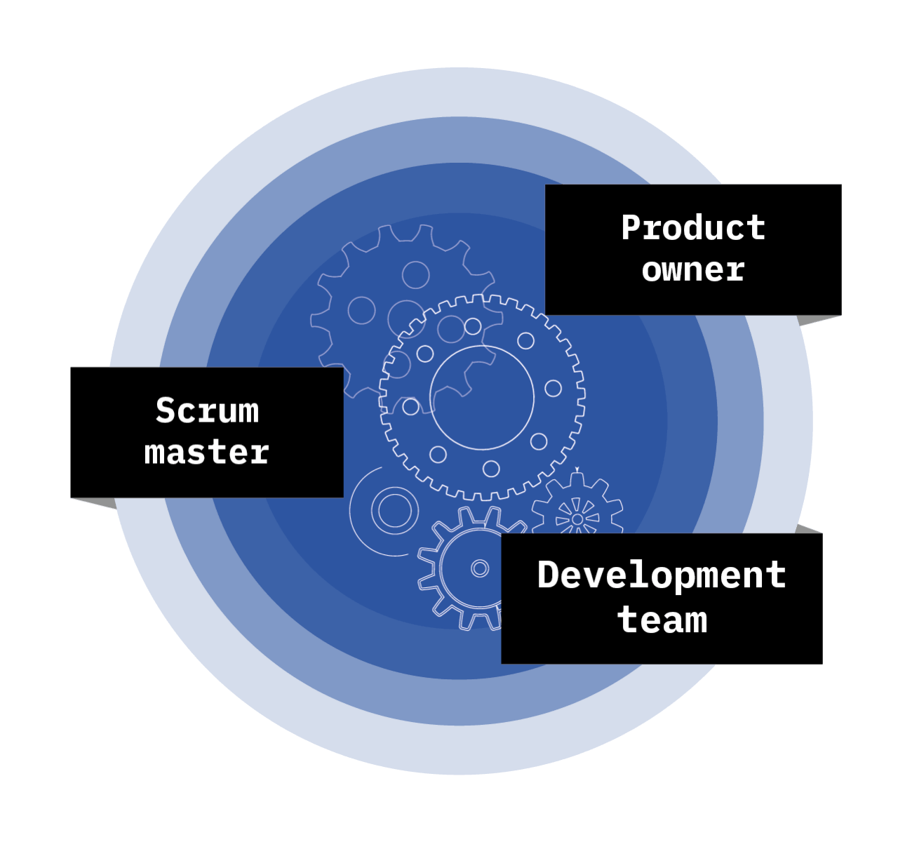 Infografica metodo scrum: ruoli del team nel metodo scrum